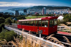 neuseeland-13