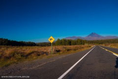 neuseeland-15