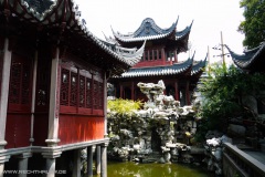 shanghai-8