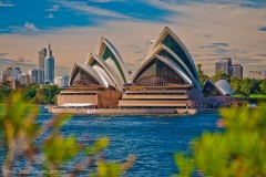 sydney-3